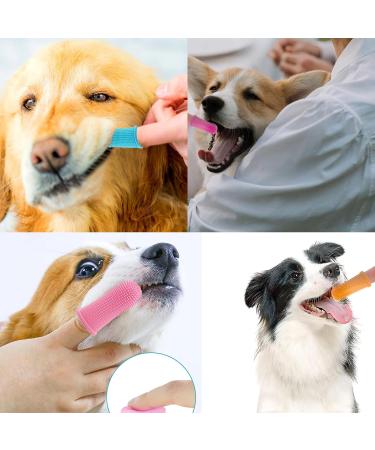 4pcs Dog Toothbrush Dog Finger Toothbrush Dog Toothpaste Finger Toothbrush Dog Dog Toothbrush Finger Cat Toothbrush For Dogs Cats And Small Pets Dental Care Easy Dog Teeth Cleaning - Buy Online on GoSupps.com