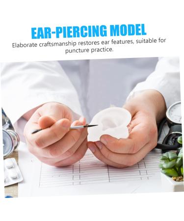 Buy FRCOLOR Flexible Artificial Ear Mold | Perfect for Acupuncture Ear Piercing Practice & Jewelry Display - International Shipping Available - Buy Online on GoSupps.com