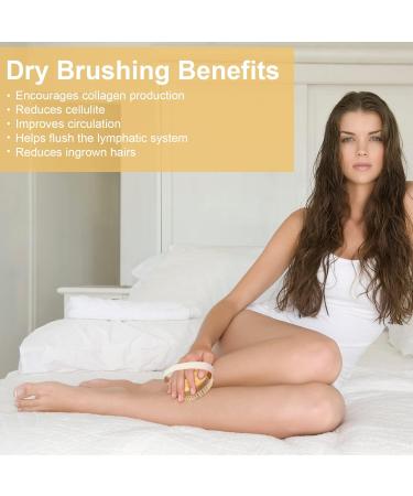 GiimiBash Bamboo Dry Body Brush for Smooth Skin, Blood Circulation, and Cellulite Treatment - Soft and Stiff Bristles - Suitable for All Skin Types - Buy Online on GoSupps.com