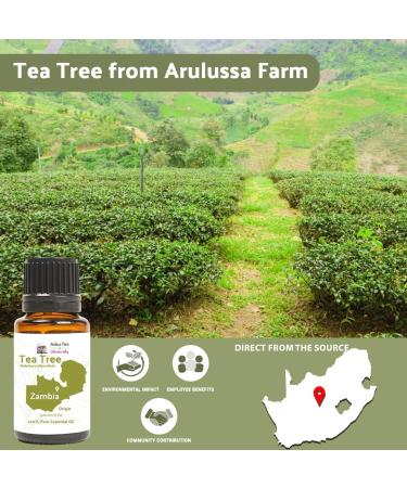 100% Pure Tea Tree Oil - Therapeutic Grade - Direct from Arulussa Farms Zambia - Bulk Essential Oils (15ml - Buy Online on GoSupps.com