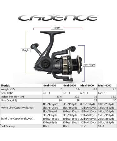 Cadence Ideal Spinning Reel - 10 + 1 BB, 30LBs Max Drag, 6.2:1 Ratio - Durable, Powerful, and Smooth Fishing Reel for Freshwater - Great Value and Tuned Performance 1000 - Buy Online on GoSupps.com