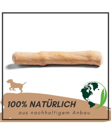 Supravit Natural Coffee Wood Chewing Bones for XS Puppies | Long-Lasting Play & Excitement | Caustab Puppy Chew Toys - Buy Online on GoSupps.com