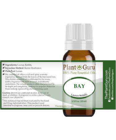 Buy Bay Essential Oil (Laurus Nobilis) 10ml - 100% Pure Undiluted Therapeutic Grade - International Shipping Available - Buy Online on GoSupps.com