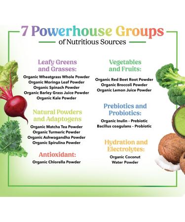 Greens Powder Superfood - Premium Organic Super Greens Juice Powder - Packed with Probiotics Wheat Grass Enzymes Spirulina Chlorella for Digestive & Gut Health Smoothie Drink Mix - 28 Servings - Buy Online on GoSupps.com