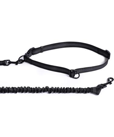 Mile High Life | Retractable Hands Free Dog Leash | Waist Running Adjustable | Reflective Dual Bungees | Dual Handles | Small Medium Large Dogs | (Purple) 7 Foot (Pack of 1) Waist Running-Purple - Buy Online on GoSupps.com