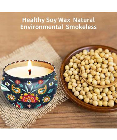 Relax Deep Sleep Scented Candles Lemon Fig Lavender Spring Fresh Rose Jasmine Vanilla Bergamot Strawberry Peppermint Rosemary Gardenia Natural Soy Wax Portable Travel Tin Fragrance -12 Pack #9 scented Candles Gift Set 12 Pack - Buy Online on GoSupps.com