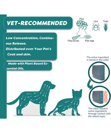 Premium Plant Based Flea and Tick Collar for Cat - Waterproof, Natural Prevention & Protection for Small Kittens - 13.8in (2 Packs) + Free Comb - Buy Online on GoSupps.com