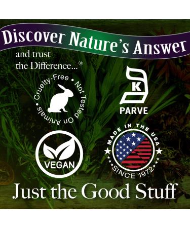 Nature's Answer Cranberry 800 mg - 90 Vegetarian Capsules for Urinary Health - Buy Online on GoSupps.com