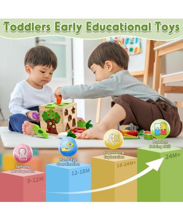 Motoric Cubes 5-in-1 Activity Toys for 1-3 Year Olds | Montessori Educational Wooden Activity Center | 49 PCS Gift for Kids 18 Months+ - Buy Online on GoSupps.com