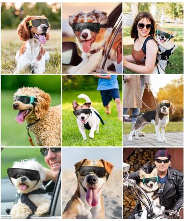 Lewondr Sunglasses for Dogs - UV Safety & Windproof Glasses with Adjustable Rubber Band | Waterproof Outdoor Dog Eyewear in Black & Blue - Buy Online on GoSupps.com