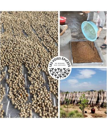 Spicy Ways - White Kampot Pepper - 100 g Kraft Zip Bag - Pepper Grain Cambodian Pepper - Buy Online on GoSupps.com