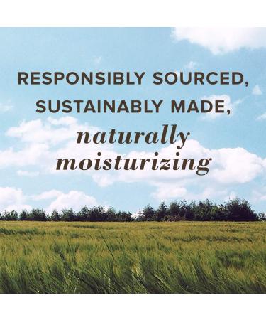 Burts Bees Medicated Moisturizing Lip Balm Twin Pack - 2 x 0.15 oz Unisex Lip Balm - Buy Online on GoSupps.com