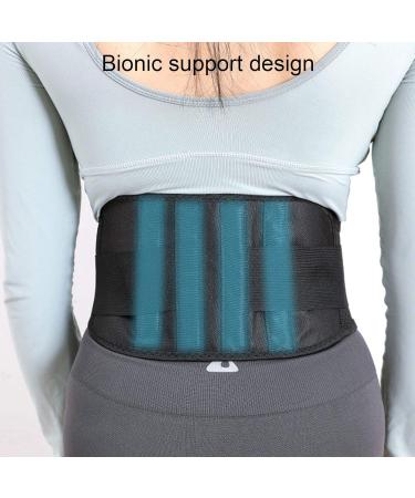 Dasertoe Waist Belt - Self-Heating Back Support Breathable & Flexible Sports Belt (L) for Pain Relief & Comfort - International Shipping Available - Buy Online on GoSupps.com