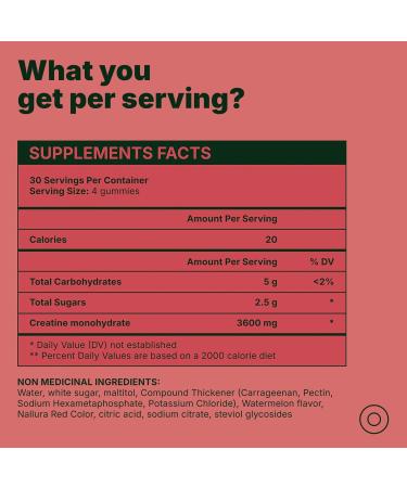 Creatine Monohydrate Gummies 3600mg Real Creatine Per Serving Transparent Label Juicy Watermelon Flavor Lab-Tested Strength & Recovery Supplement Watermelon 1 Count (Pack of 120) - Buy Online on GoSupps.com