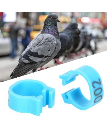 Birds Foot Rings Identification Poultry Leg Bands Easy to Install and Disassemble for Birds Pigeons Chicken Parrot Ducks Hens (Blue) - Buy Online on GoSupps.com