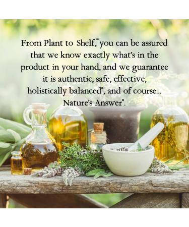 Nature's Answer Gotu Kola Herb Extract - 1oz, Alcohol-Free - Buy Online on GoSupps.com