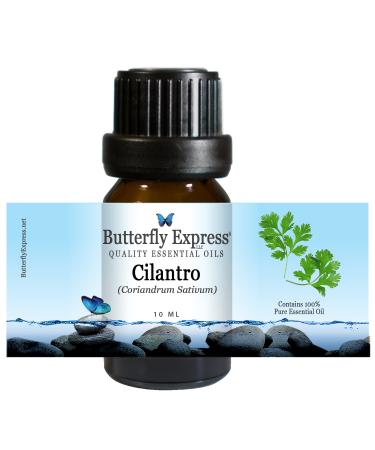 Cilantro Essential Oil 10ml - 100% Pure by Butterfly Express