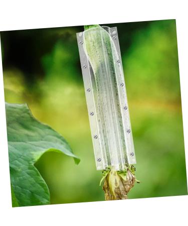 POPETPOP 4pcs Shaped Growth Mold Ginseng Transparent Fruit Shaping Mold Acrylic Small Fruit Vegetable - Buy Online on GoSupps.com