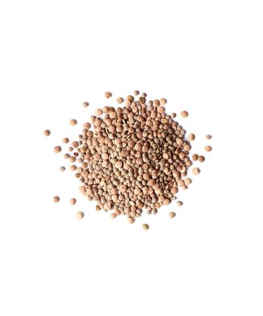Organic Whole Red Lentils  3 Pounds  Non-GMO  Dry Raw Lentils  Sproutable  Vegan  Kosher  Bulk. Easy to Cook. Good Source of Folate  Fiber  and Protein. Perfect for Lentil Soup  Stews  and Curry. - Buy Online on GoSupps.com