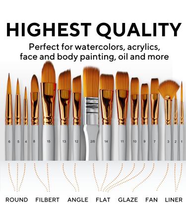 Premium 16-Piece Artist Paint Brush Set with Bonus Tools and Case - Ideal for Watercolor, Oil, Acrylic Painting - for Kids, Adults, Professionals - Buy Online on GoSupps.com
