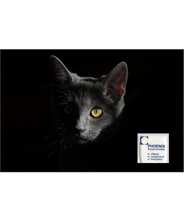Phoenix Enzyme Cleaner for Cat Urine Removal - 4 x 20g Sealed Bags | Best International Shipping - Buy Online on GoSupps.com