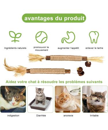 Altcompluser Catnip Sticks for Cats - Dental Care Chewing Toys (3 Pieces) for Tartar & Bad Breath - Healthy Oral Hygiene - Buy Online on GoSupps.com