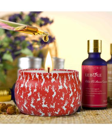 Christmas Fragrance Candles 4-Pack | Apple Cinnamon Gingerbread & Lavender Soy Wax Aromatherapy Gift Set for Women - Buy Online on GoSupps.com
