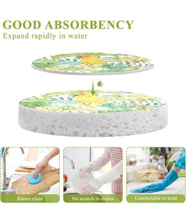 3-Pack Cleaning Kitchen Sponges Oval Plumeria Leaves and Parrot Kitchen Cellulose Dishwashing Wood Pulp Cotton - Buy Online on GoSupps.com