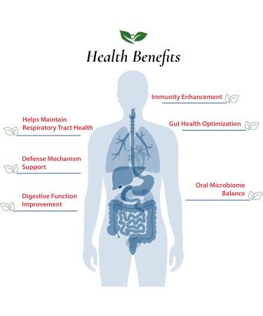 Foods For Gut Lactobacillus Salivarius Probiotic Powder 300 Billion cfu's | Made in USA | No Additives | Digestive & Immune Support | High Potency | L.Salivarius | 60 Gram (2.11 Oz) 2.11 Ounce (Pack of 1) - Buy Online on GoSupps.com