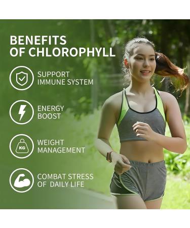 Chlorophyll Gummies with Black Seed Oil, Moringa, Probiotic for Body Odor, Digestion, Skin, Hair, and Immunity Support - Adults Kids Women Men, 60 Apple Flavored Gummies Apple 60 Count (Pack of 1) - Buy Online on GoSupps.com