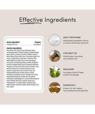 Jupiter Anti Dandruff Shampoo Conditioner & Serum Set - Physician-Formulated for Dry Itchy & Oily Scalp - Color Safe & Sulfate Free Care - Buy Online on GoSupps.com