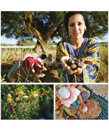 100% Pure Argan Oil from Morocco - Cold Pressed Roasted - 200ml - Cooking Salads Seasonings  - Buy Online on GoSupps.com