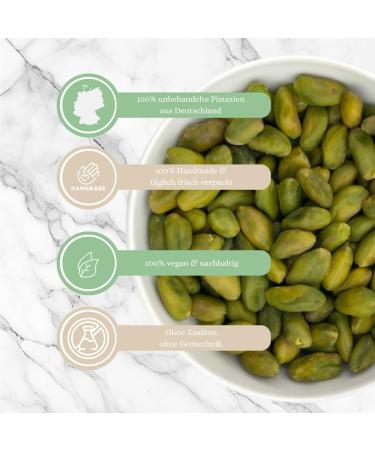  1001 Frucht 1001 Frucht - Peeled pistachios 1000g natural green pistachios without GMO shell suitable for Dubai chocolate unsalted pistachio kernels without additives - Buy Online on GoSupps.com