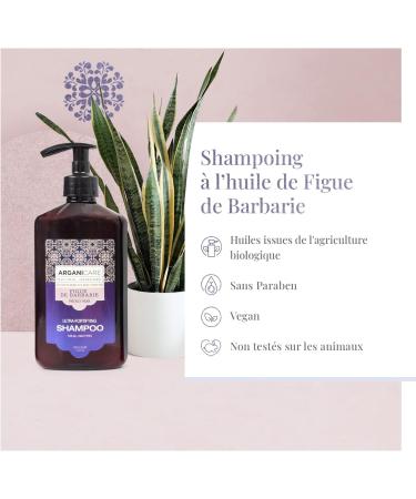 ARGANICARE - Fortifying Shampoo with Prickly Pear and Vitamin E - Hair Care - 400 ml - Buy Online on GoSupps.com