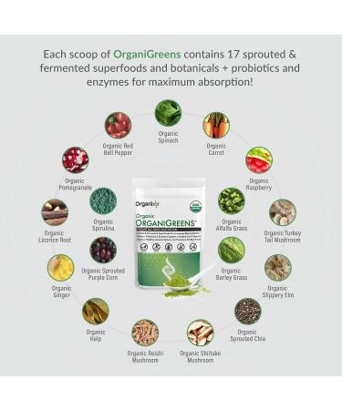 Organixx Clean Sourced Collagens (20 Servings) & OrganiGreens (30 Servings) Bundle Daily Super Greens & Protein w/Vitamin C & Zinc Supports Digestion Skin Hair Nails & Joint Health Gluten Free - Buy Online on GoSupps.com