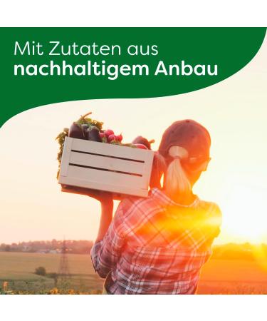 Knorr Pasta Snack Pot Broccoli & Cheese - Delicious Instant Noodles Ready in 5 Minutes | 8 x 62g | International Shipping Available - Buy Online on GoSupps.com