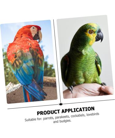 Kisangel 2pcs Parrot Anklet Birds Foot Chain Chicken Foot Ring Birdemic Bird Foot Stand Chain Stainless Steel 4X1X1cm Silver - Buy Online on GoSupps.com