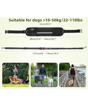 Pecute Jogging Leash for Large & Medium Dogs | Elastic Running Dog Leash with Belly Belt & Belt Bag | Durable Up to 100kg - Perfect for Jogging & Running - Buy Online on GoSupps.com