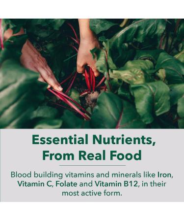 PlantFusion Vegan Iron Supplement for Women & Men - Gentle Plant-Based Iron with Vitamin C Methyl B12 Folate - Non-Constipating Wholefood Iron Pills for Energy Anemia & Blood Support 60 Capsules Iron Blood Support - Buy Online on GoSupps.com