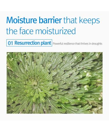 YUN-KANG YUL Kids & Baby Moisturizer | Ceramide, Hyaluronic Acid, Cica | Calming, Soothing, Moisturizing Cream | EWG Verified | 13.52 Fl.Oz - Buy Online on GoSupps.com