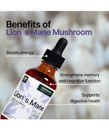 Lion's Mane 2 fl oz Liquid Extract - Brain & Memory Support Drops - Immune Booster - High Potency Formula - 45-Day Supply - Buy Online on GoSupps.com