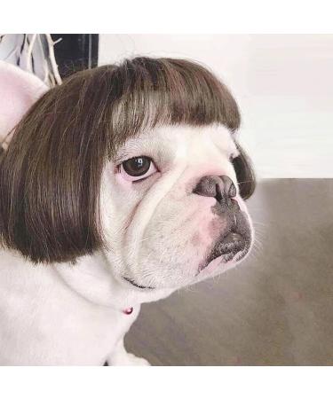 Funny dog wig cat role play wig Halloween Christmas parties firm for pets wig small medium and large dog wig (black and brown straight hair)