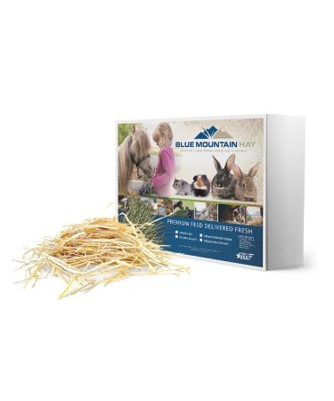 Blue Mountain Hay Organic Bedding Straw for Guinea Pigs, Chinchillas, Rabbits, Hamsters, Chickens, Stray and Feral Cats, Chicken Coops and Small Pet Shelters. Delivered Fresh from The Farm 3 lb
