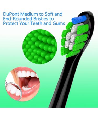 Buy Wardimark Replacement Brushes for Philips Sonicare - 8 Black Gum Care Brush Heads - International Shipping Available - Buy Online on GoSupps.com