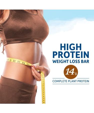 Garden of Life Organic Fit High Protein Weight Loss Bar - Peanut Butter Chocolate (12 Bars, 1.94 oz) - Buy Online on GoSupps.com