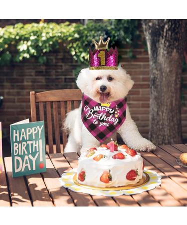 Crown Dog Birthday Hat Set - 4 Cute Reusable Hats & Bandana for Small to Medium Dogs Cats & Puppies - Pink with Gold Numbers - Buy Online on GoSupps.com