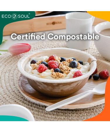ECO SOUL 100% Compostable 16 Oz Palm Leaf Bowls 20-Pack - Biodegradable Eco-Friendly Disposable Dessert Bowls - Buy Online on GoSupps.com