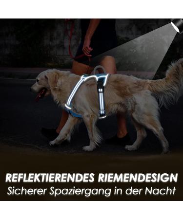 Eyin Adjustable Dog Harness for Small Dogs | Breathable Reflective Padded | Daily Training | Blue (S) - Fits Neck 32-46cm Chest 35-63cm - Buy Online on GoSupps.com