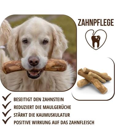 Petlove Coffee Wood Chewing Toy for Dogs | Natural Wooden Bones for Dental Care | Caffeine-Free | Medium & Large Dogs - Buy Online on GoSupps.com