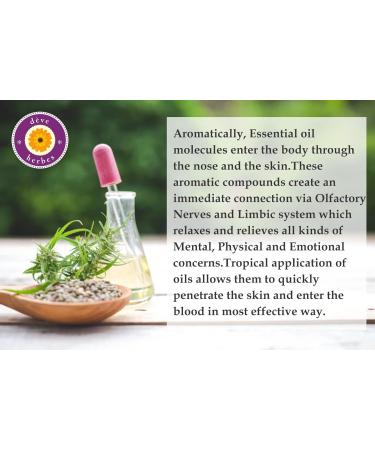 Deve Herbes Feel Happy & Positive - Aromatherapy Essential Oil Blend - Buy Online on GoSupps.com